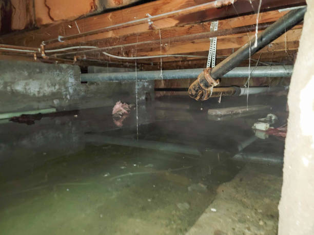Best Carpet water damage restoration  in Carnegie, OK
