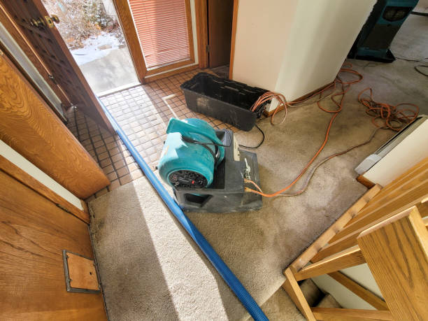 Best Water damage restoration near me  in Carnegie, OK