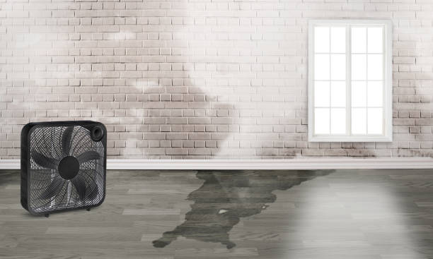 Best 24-hour water damage restoration  in Carnegie, OK